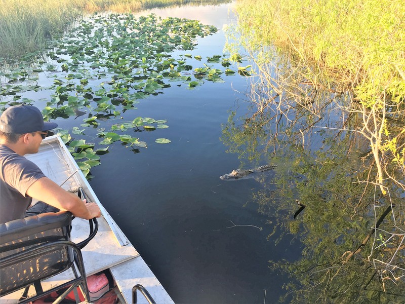 airboat ride near me